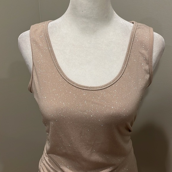 Boston Proper Beige Sparkling Sleeveless Tank Top Size XS - Picture 2 of 8